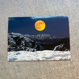 Meet your Posher, Abigail